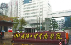 <b>武汉大学中南医院试管婴儿双胞胎费用明细构成（可保证试管婴儿双胞胎）。</b>