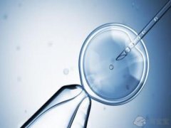 <b>贵阳妇幼保健院的试管婴儿新鲜胚胎移植费用是多少？</b>