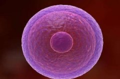 合肥供卵试管助孕靠谱吗：体外受精是什么意思？受精卵可以在体外培养吗？